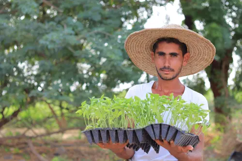 مشروع إنتاج الخضروات