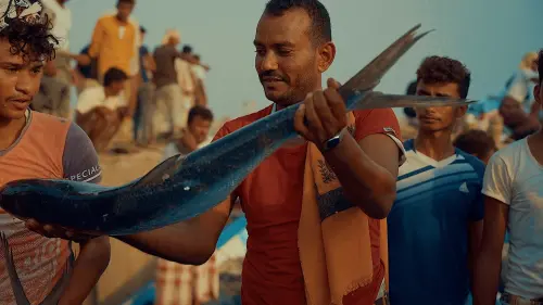 مشروع الفوليب